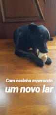 Pretinho