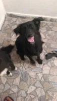 Brisa / Larica
