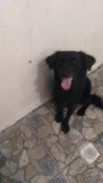 Brisa / Larica