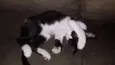 Salem