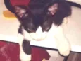 Salem