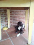 Marley