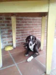 Marley