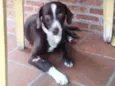 Marley