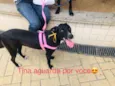 Tina