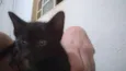 Léon, Hermione