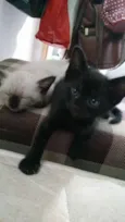 Léon, Hermione