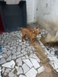 não tem nome