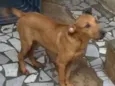 não tem nome