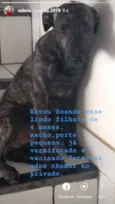 Berilo