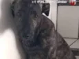 Berilo