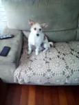 Nina