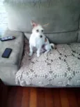 Nina