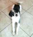 Billy