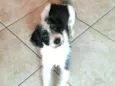 Billy