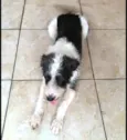 Billy