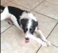 Billy