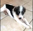 Billy