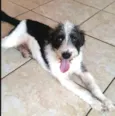 Billy