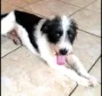 Billy