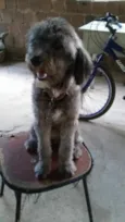 Marley
