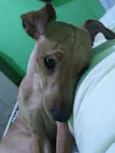 Nick
