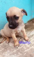 Nao tem nome 