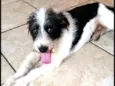 Billy