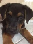 Ted