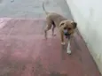 BRUCE