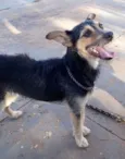 Tito 
