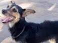 Tito 