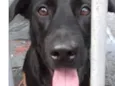 Felipe