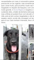 Felipe