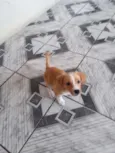 Zoe