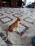 Zoe