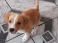 Zoe