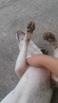 Menina