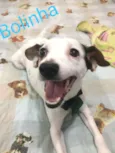 BOLINHA