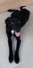Neguinho
