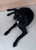 Neguinho