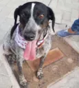 Óreo
