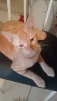João