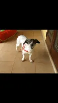 Margarida