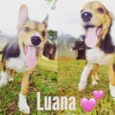 LUANA BABY