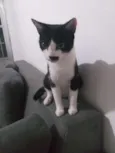 Mel
