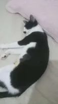 Mel