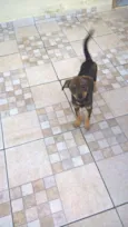 Lilica