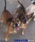 LILA E LUCA