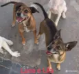 LILA E LUCA